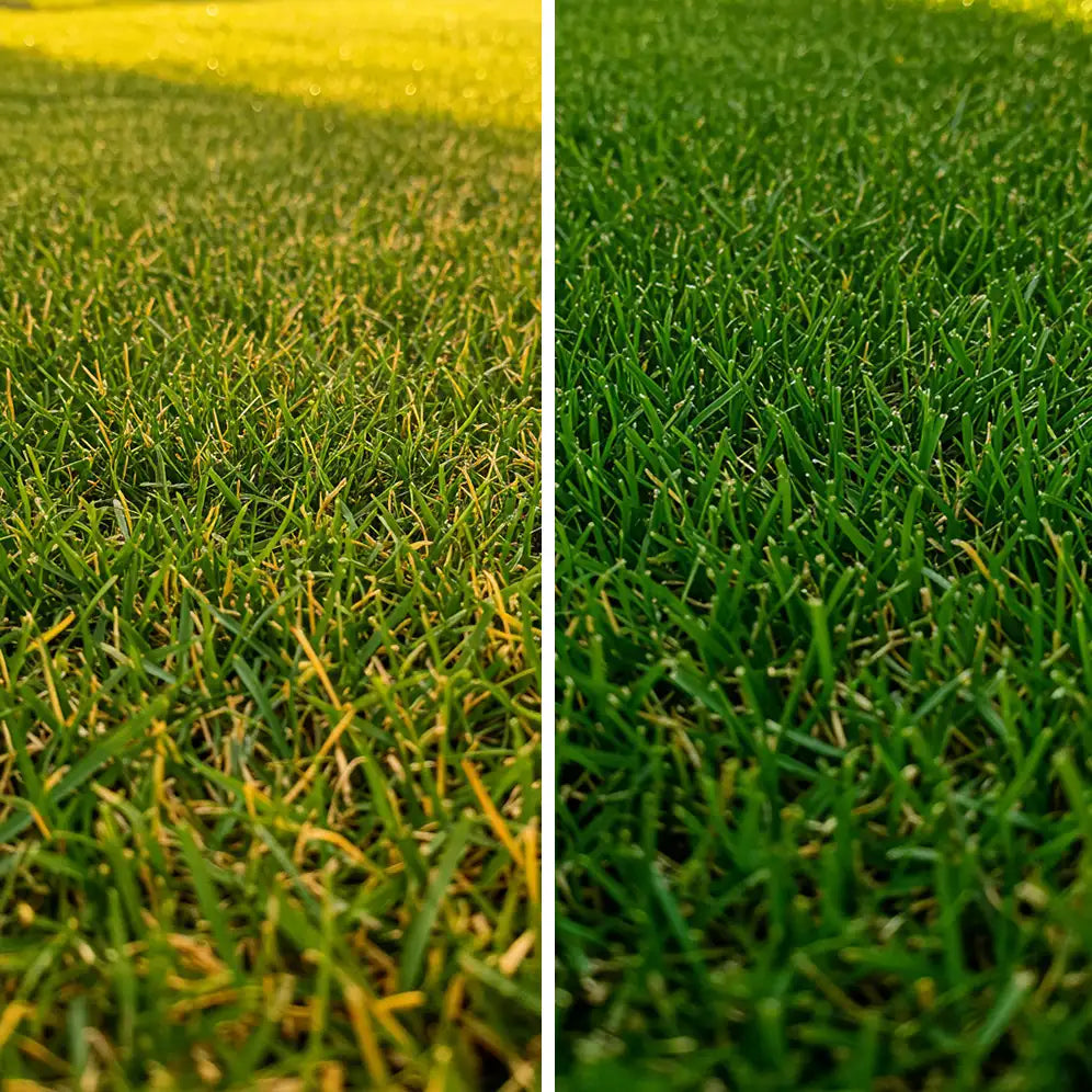 Biostimulator Vigor Liquid pentru gazon și plante