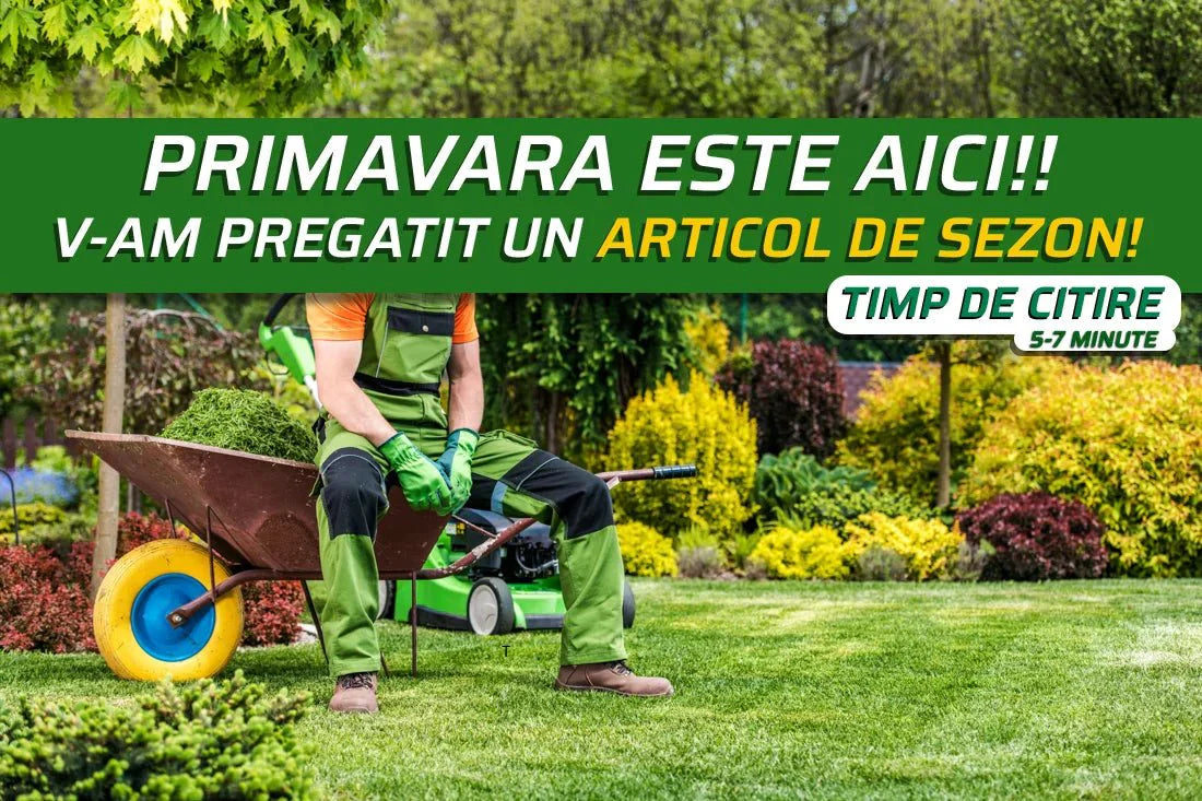 Cum să pregătești gazonul pentru primăvară: Ghid complet! - Verdetot.ro