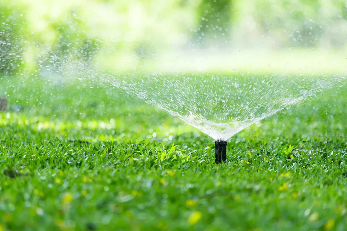 Irigarea gazonului – Cum se udă corect gazonul? - Verdetot.ro