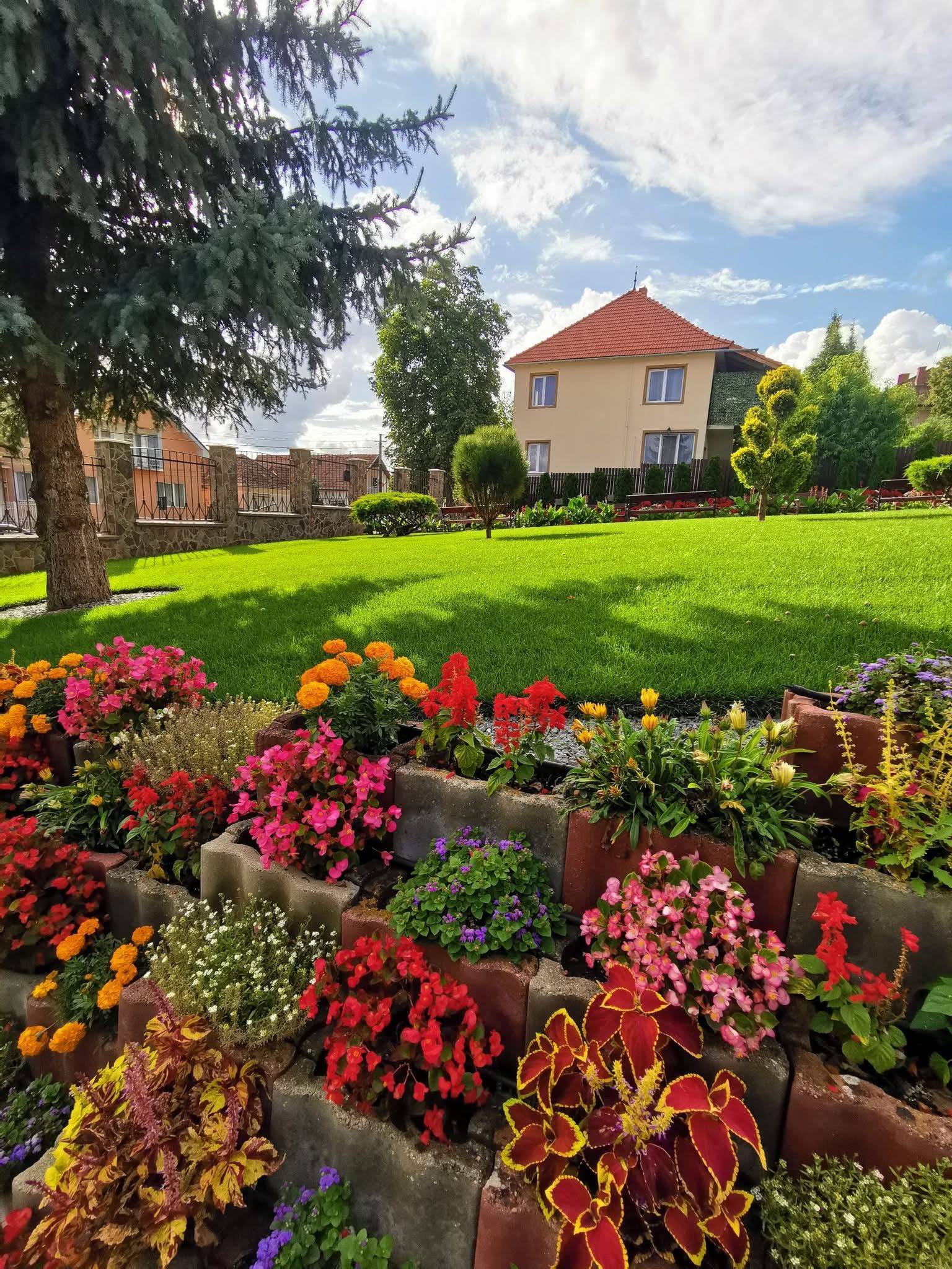 Pachet întreținere flori